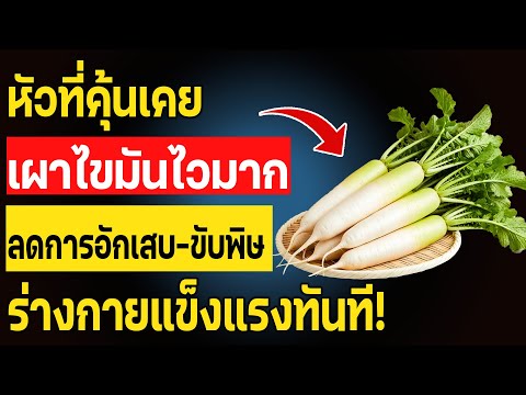 แพทย์แนะนำ! หัวไชเท้าขาวช่วยลดไขมันในเลือด พร้อมฟื้นฟูร่างกายอย่างธรรมชาติ