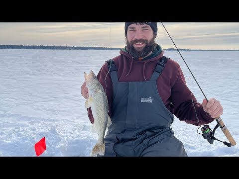 Early Ice Walleye Action