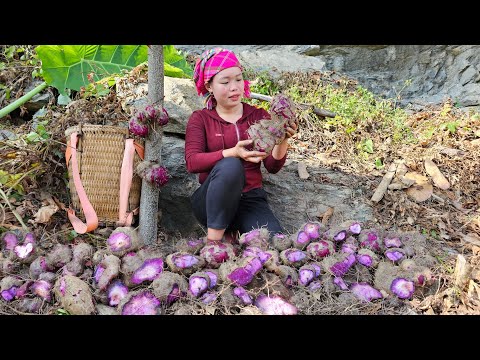 2 years of building a life: Harvest Bitter Melon, Bananas, Ginger, Yam, Vegetables market to sell.