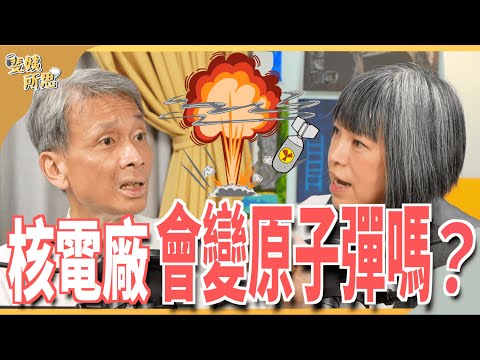 核電廠年限40年還能延役?核廢料問題有沒有解? ft.清大核工所教授 葉宗洸 | 斐姨所思【阿姨想知道】 EP84