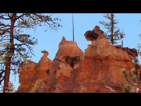 Bryce Canyon Episode 3 Echo Amazing Sceneries through Navajo Loop Trail with ambient and Cinematic M