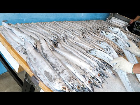 일매출 1,000만원! 하루 800마리 다 팔리는 역대급 은갈치 한상차림 가게? 새벽부터 손질하는 푸짐한 통갈치구이 세트 Giant hairtail / street food