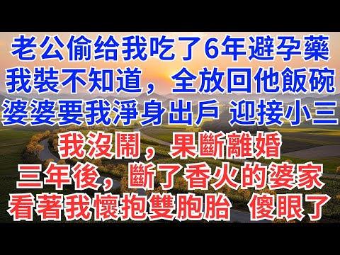 老公偷给我吃了6年避孕藥，我裝不知道，全放回他飯碗，婆婆要我淨身出戶，迎接小三，我沒鬧，果斷離婚，三年後，斷了香火的婆家，看著我懷抱雙胞胎，傻眼了！#慧心家事#為人處世#生活經驗#情感故事#戀愛#情感