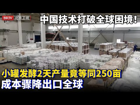 打破全球无量产困境！中国独创生物发酵技术，100立方罐子发酵2天，相当于1年250亩天然作物的产量！成本骤降出口全球【为你喝彩】#零卡糖