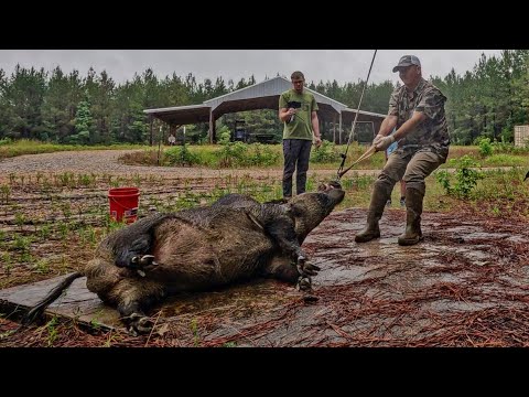 Trapping and hunting GIANT hogs with Kendall Gray.