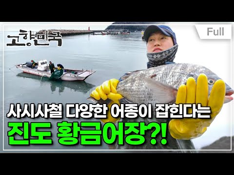 [Full] 고향민국 - 진도, 설레는 봄 바다