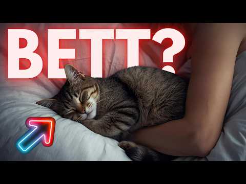 Why cats really sleep with us