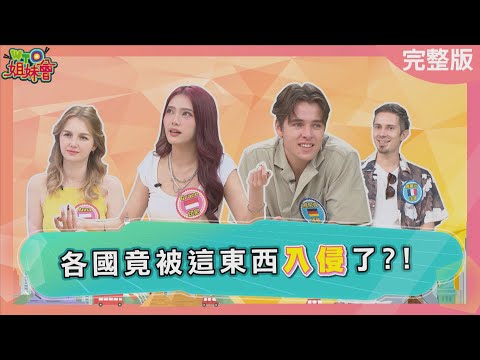 外國投資客入侵日本 惡房東用奧步強迫漲租 印尼被韓流入侵 本土藝人活不下去 紐西蘭逗趣海獅路標只有這裡看得到 2025-10-06【WTO姐妹會】馮韋元Kyoda雅尼克Grace小邁波蘭Anna惠穎