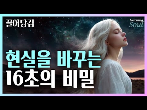 🍀🧲16초면 모든 게 끌려온다 | 생각이 아니다! 끌어당김은 '이것'이 전부다 | 여기가 끝이 아니다