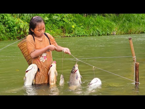 Primitive fishing techniques, Setting a stream fish trap, highland girl caught 20kg of fish to sell