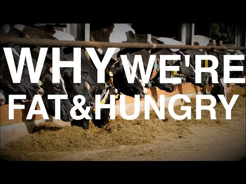 Why we get Fat AND Hungry | (Biology of Weight Gain & Low-Carb )