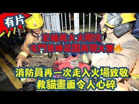 宏福苑大火剛完|屯門景峰花園再現火警🔥 消防員再一次走入火場致敬🚒🐱 | 消防員救貓畫面令人心碎🐱