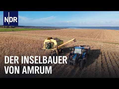 Inselbauer Oke: Landwirtschaft auf Amrum | die nordstory | NDR Doku