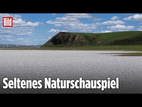 Innere Mongolei, China: DIESER See ist weiß wie Milch