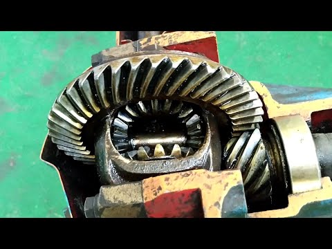 5 symptoms of differential troubles