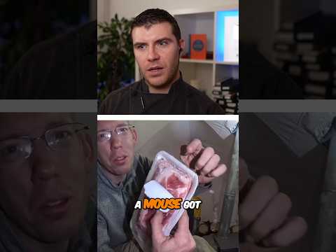 Mice Ate His Pork?! Outdoor Boys Alaska Survival Gone Wrong