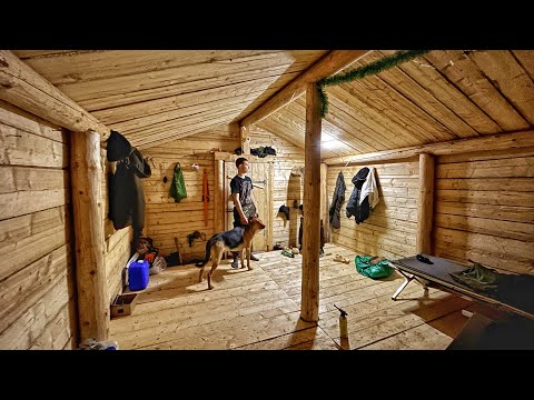 I Built a Cozy Log Cabin in the Forest from Scratch