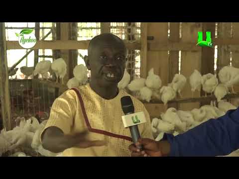 AYEKOO: I WAS DETERMINED AND I HAVE SUCCEEDED - MIM SHS ASSET HEADMASTER