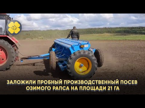 Заложили пробный производственный посев Озимого рапса на площади 21 га.