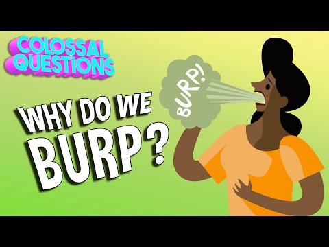 Why Do We Burp? | COLOSSAL QUESTIONS
