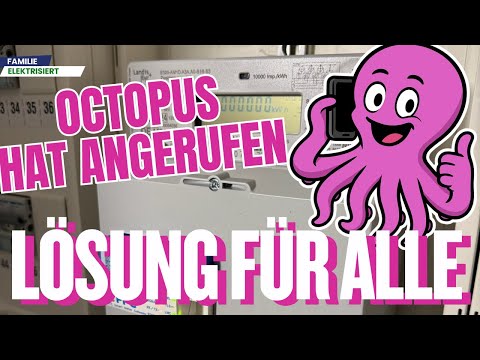 Octopus CEO intervenes! The turning point in the Octopus chaos on November 19th.