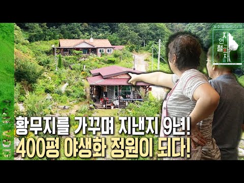 우여곡절 끝에 400평 야생화 정원 완성! 사계절 다른 꽃으로 힐링하는 60대 부부의 황혼 정원 [자연의 철학자들 KBS 20221007 방송]