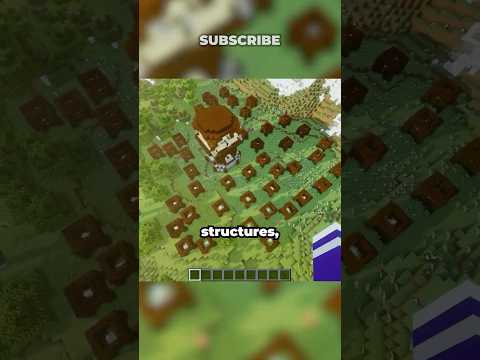 The Rarest Outpost in Minecraft