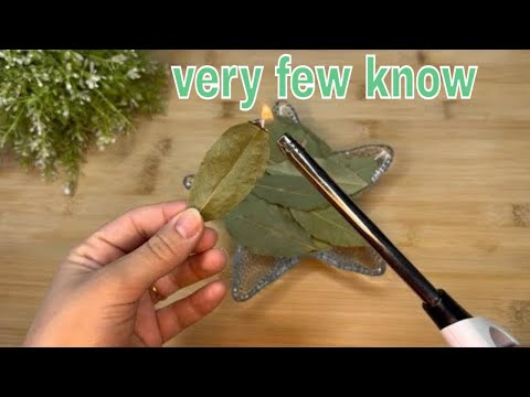 Burn 1 BAY LEAF in your house  AND THIS WILL HAPPEN TO YOU IN 5 MINUTES