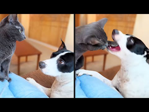 He Should've Known This Would Happen