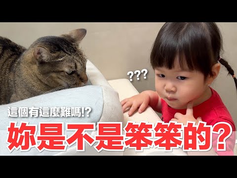 【好味小姐】妳是不是笨笨的？有這麼難嗎！？｜好味貓日常244