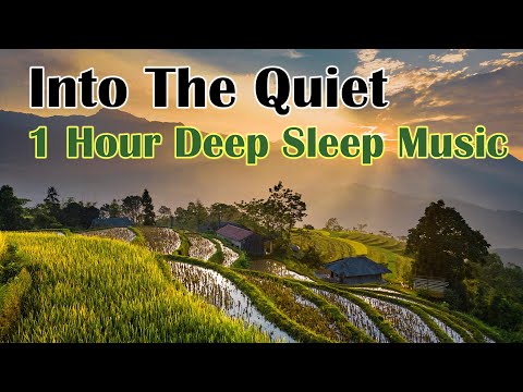 1 Hour Deep Sleep | Soft Ambient Music to Quiet the Mind