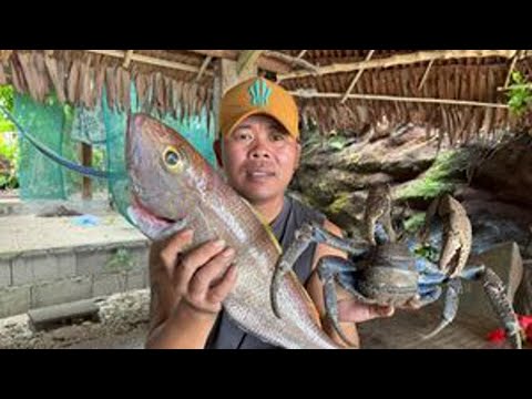 和小伙伴们钓鱼，抓椰子蟹！做一道酸菜鱼，香锅椰子蟹！ 和小伙伴们钓鱼，抓椰子蟹！做一道酸菜鱼，香锅椰子蟹！#赶海