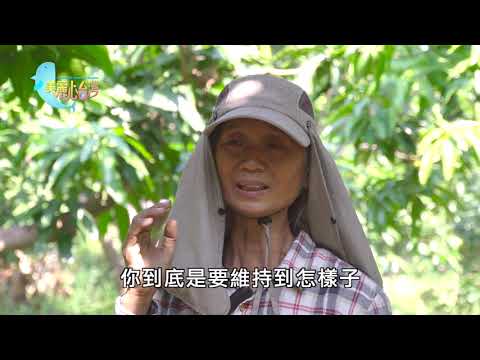 【台南官田】從人生勝利組歸零 陳佩雲回歸田園 | 有機無毒 | 321 | #美麗心台灣