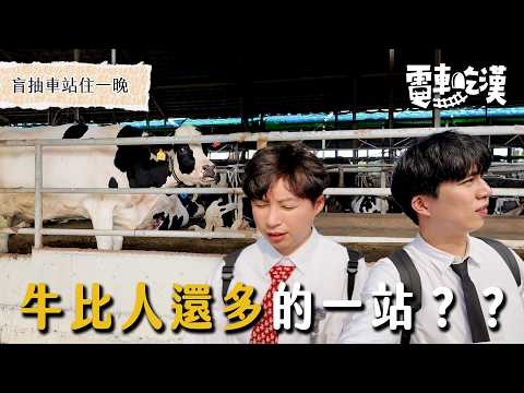 一定聽過卻沒去過的站！林鳳營真的有牛嗎？40度熱浪下的冒險之旅開始【電車吃漢 EP6】林鳳營站｜Dcard.Video