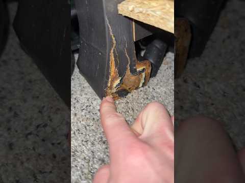 IT DIDN’T EVEN LAST 1 DAY!