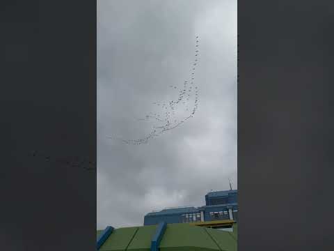 spring vibes at #unitrier 🌷