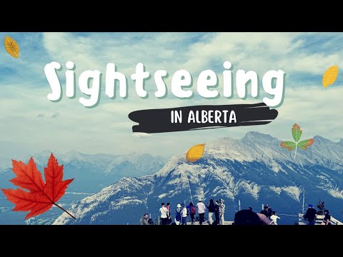 sightseeing in alberta!