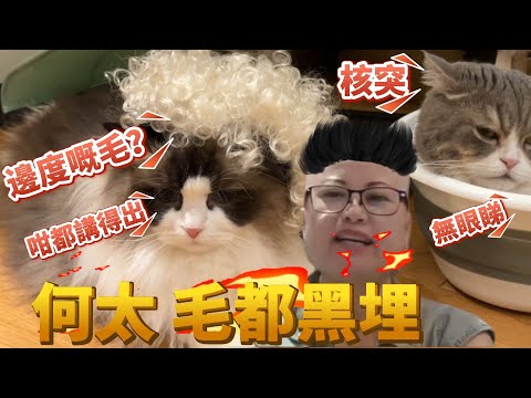 何太大言不慚話何伯飲湯後下面嘅毛變黑咗🤣😭何太退網對自己的利弊 貓咪配音回答！|白雪雪用河馬音讀留言爆笑 林冬瓜突然戴皇帝帽爆笑 creamy又爆門！