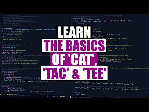 Essential Linux Commands - Cat, Tac and Tee