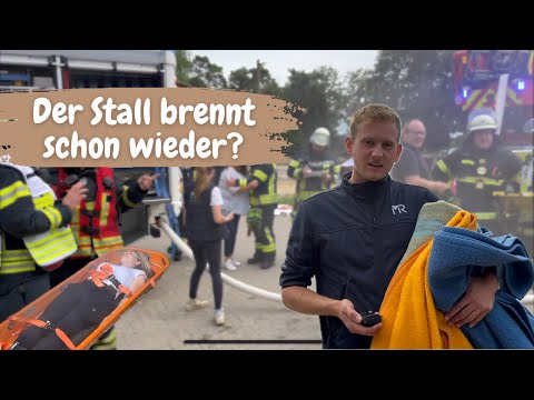 Der Pferdestall brennt schon wieder?🔥🚒 - Feuerwehrübung mit Personenbergung