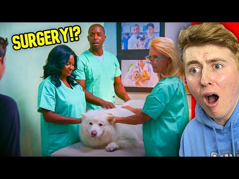 Kid LIES About His Dog Eating Homework And Lives to Regret It!