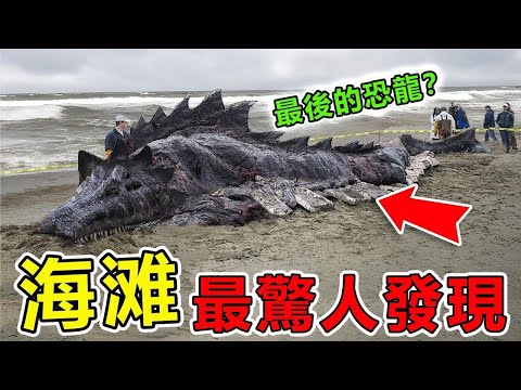 海上意外捕獲的十個可怕生物，長相怪異面部恐怖，第一名嚇壞科學家，沒想到竟然真的存在！