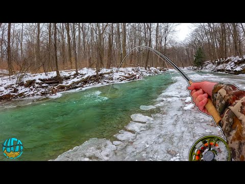 Fly Fishing For GIANT Fish in a Tiny Creek - Andrew's First Erie Steelhead