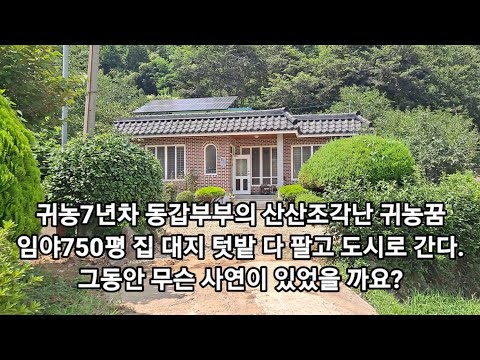 산산조각난 귀농7년차 동갑부부의 귀농꿈 750평 임야 집 대지 다 팔고 떠나려는 기막힌 사연..
