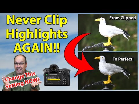 The End Of Clipped Highlights For Nikon And Sony!