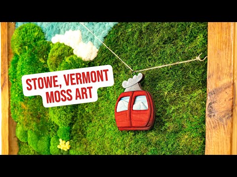 Installing my Moss Wall in Stowe, Vermont | Ski Chalet inspired Moss Art by Kate the Earthling