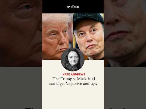 'If they wanted a full-blown war, it would be explosive': will the Trump-Musk feud get even uglier?