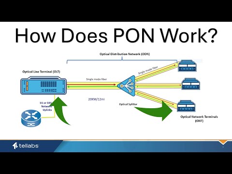 Fundamentals of PON: The Optical LAN Solution