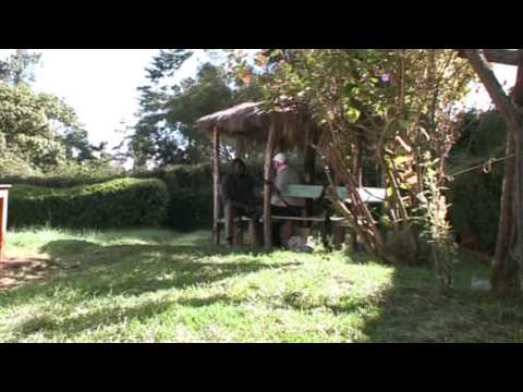 100 Seconds to Beat the World