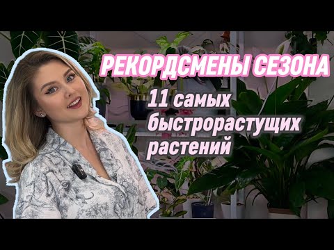 Было-стало. 11 ЗЕЛЁНЫХ РЕКОРДСМЕНОВ: Кто Вырос у Меня за Сезон БЕЗУМНЫМИ Темпами? 🌱⚡️🤯